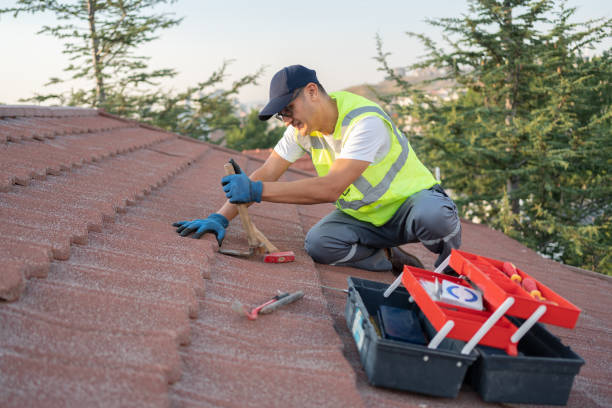 Best Residential Roofing Contractor  in Kapaau, HI