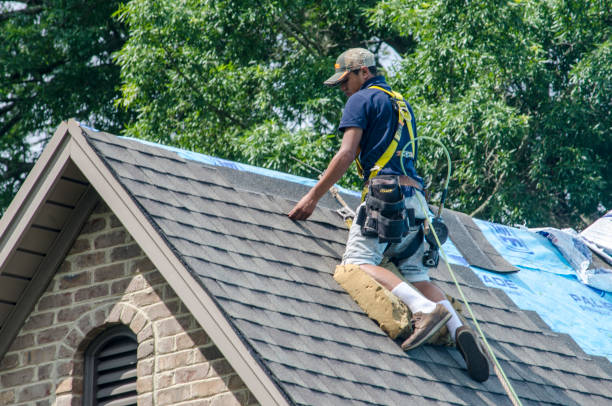 Best Shingle Roofing Installation  in Kapaau, HI